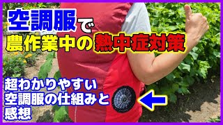 首まで涼しい空調服で夏の園芸や農作業の熱中症対策！超わかりやすい空調服の仕組み・価格・感想　ファン付きベスト／概要欄の追記も見てね／送風ベスト／ファン付きウェア／ワークマン／畑／家庭菜園