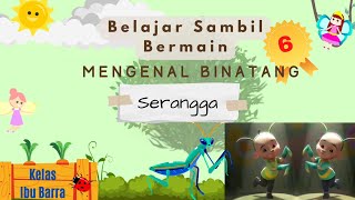 Belajar Sambil Bermain - Belajar Mengenal Binatang Serangga 1