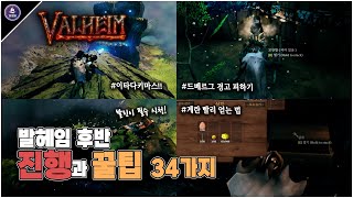 발헤임 후반 진행과 꿀팁 34가지! - 평원부터 안개 지대까지! [Valheim WIKI]