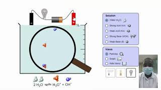 Acids  Bases Simulations | Science Experiment