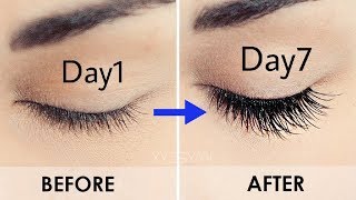 3 दिन मे पलकों और आईब्रो को घना बनाने के अचूक घरेलु उपाय | Grow your eyebrows in just 3 days