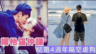 楊怡羅仲謙結婚4週年隔空虐狗 馬國明湯洛雯湊熱鬧遭狂諷