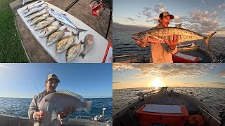 17.  North Queensland inshore fishing #solo #bait #lures #garmin #townsville #mackeral #fish #halco