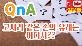 고사리 같은 손의 유래는 어디서??