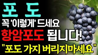 포도와 함께 먹으면 보약되는 음식3가지와  항암 포도 만드는 방법! 특급 레시피! 포도 '이렇게' 드셔야 온갖질병 싹 사라집니다! 세척 방법. 치매 음식. 뼈 건강 음식.당뇨 음식