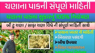 ચણાના પાક ની સંપૂર્ણ માહીતી #gram chana na pakni mahiti