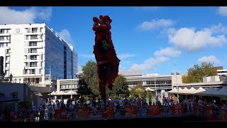 CNY 醒獅 採青 Year of the Ox 2021 4K The best Lion Dance on youtube WorldWide