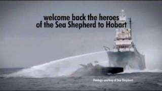 Welcome the heroes of Sea Shepherd to Hobart - Sat March 6th