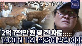 형부에게 2억 7천 만 원 빌리고 가족과 등진 채 개 140마리와 사는 여자｜특종세상 317회 FULL영상