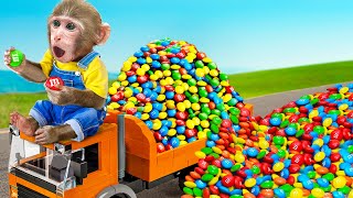 KiKi Monkey go harvest full of Rainbow M\u0026M Candy and play with Cute Puppy | KUDO ANIMAL KIKI