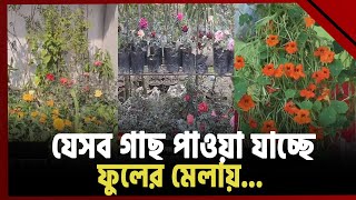 ২১ দিনের ফুলের মেলায় রঙিন পাবনা! | News | Ekattor TV