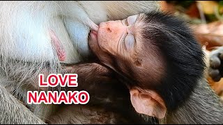 NANAKO so adorable baby he drink milk and play...yavyav monkey