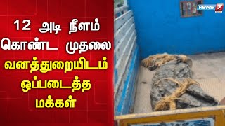 12 அடி நீளம் கொண்ட முதலை - வனத்துறையிடம் ஒப்படைத்த மக்கள் | Crocodile