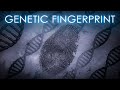 Genetic Fingerprints: DNA traces | The Science of Crime | Full Documentary