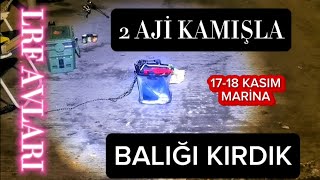 2 JAPON AJİ KAMIŞLA 10 Değişik SİLİKON İLE AVLANDIK. SONUÇ.. #istavrit #lrf #mezgit #izmarit