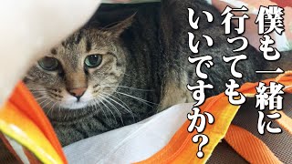 飼い主が旅行の準備を始めたら猫がカバンの中に入ってきて必死の抵抗！