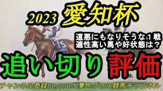 【最終追い切り評価】2023愛知杯全頭！道悪・重馬場にもなりそうな激しい牝馬ハンデ戦！道悪巧者や状態が良い馬は？