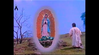 PELÍCULA Virgen de Guadalupe 