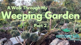 Weeping Garden Part 2