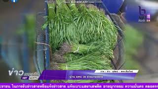 มณฑลทหารบกที่ 38 รับซื้อผลผลิตจากเกษตรกรมาปรุงอาหารให้กับพลทหารกองประจำการของหน่วยได้รับประทาน