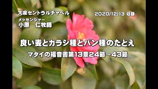 マタイの福音書　第13章24節～43節　「良い麦とからし種とパン種の種のたとえ」　大泉セントラルチャペル　小原　仁牧師　2020年12月13日（日）