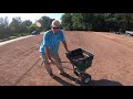 how to plant grass seed in the summer bermudagrass renovation