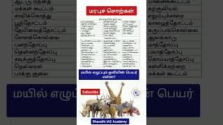 Oli Marabu Sorkal|ஒலி மரபுச் சொற்கள்|TNPSC தமிழ் இலக்கணம்|TNPSC Tamil ilakkanam|#tnpsc #tnpscgroup4