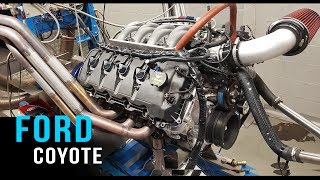 Ford Coyote V8 Crate Engine Dyno Test