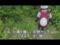 「プロガイド長編登山動画」「房総のマッターホルンー千葉最難関？！の伊予ヶ岳no.２ー南峰から北峰・崖っぷちの祠へのロープ場の様子もー山ガール登山女子ー世界最軽量ジンバルhohemisteadyx使用」