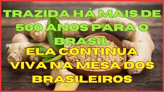 GENGIBRE! CONHEÇA 20 BENEFÍCIOS DESSA RAÍZ MILAGROSA!!!