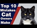 Top 10 Common Mistakes Cat Owners Make