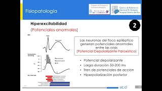 Mecanismos Epileptogénicos en Epilepsia Autoinmune (Dr. Reinaldo Uribe)