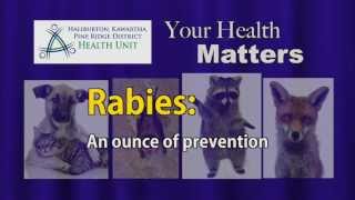 Rabies:  An ounce of prevention