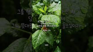 담대히 기도할 수 있는 이유 ｜20초매일말씀 - 성경말씀듣기｜믿음은들음에서