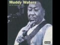 Muddy Waters Mannish Boy