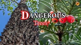 MOST DANGEROUS TREES YOU SHOULD NEVER TOUCH _ TRAVEL GUIDE|#around_the_world