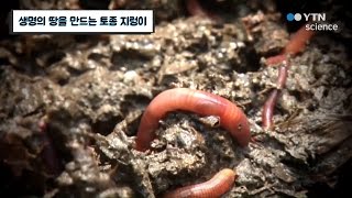 생명의 땅을 만드는 토종 지렁이 / YTN 사이언스