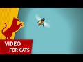 Cat Games - Bee on the Screen (Video for cats to watch) 4K