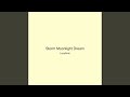Storm Moonlight Dream