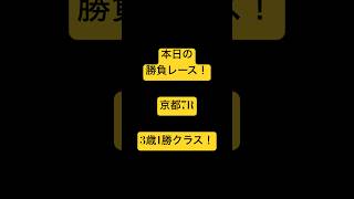 本日の勝負レース！　#競馬　#競馬予想　#ギャンブル　#boxing #ufc #golfer  #jra