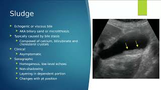 Biliary Pathology