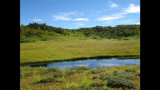 令和３年８月深夜勉強会ー２：真祈りで五欲に光を乗せて縁者に送る