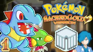 The Adventure Begins! | Pokémon SacredGold [1]