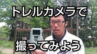 トレルカメラの設置方法