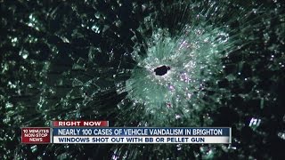 79 cases of vehicle vandalism reported in brighton