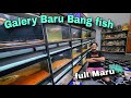 Markas ikan Bang fish baru ..⁉️