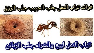 #فوائد تراب النمل في القبول والمحبه وجلب الزبائن لجلب الرزق للبيع والشراء ولقضاء الحوائج بسرعة 👍💯