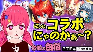 【白猫プロジェクト】猫耳にゃんにゃんにゃん！今週の白猫＜2019年2月第4週＞【エンタメ】