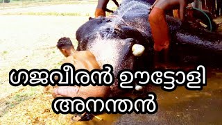 ഗജവീരൻ ഊട്ടോളി അനന്തൻ.. Elephant ootoli ananthan