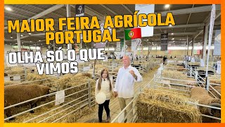 Wishes at the fair in Beja: fun guaranteed. We went to the 40th edition of OVIBEJA, Portugal